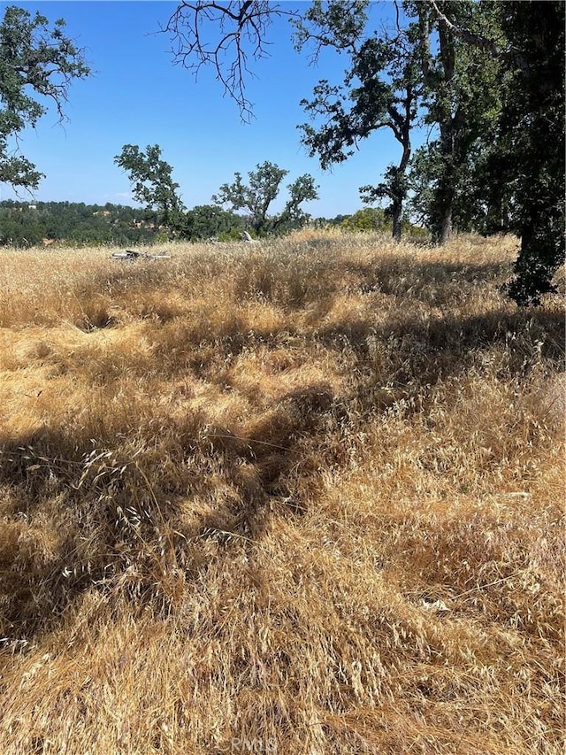 6915 Remunda Rd, Corning, CA 96021
