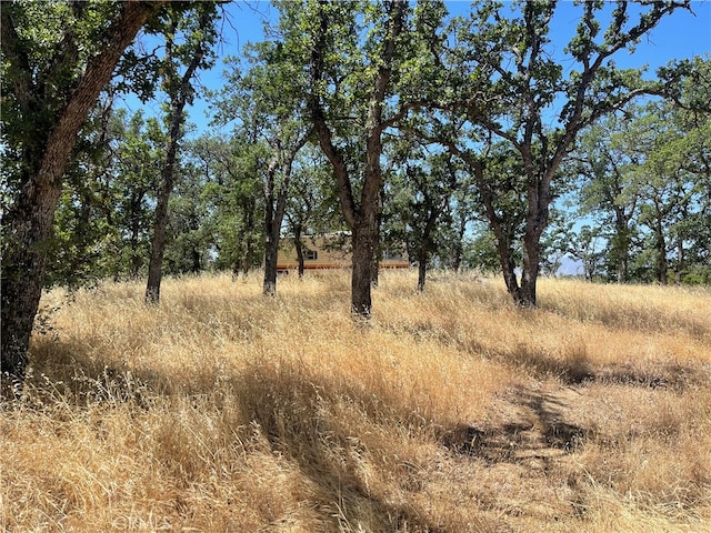 6915 Remunda Rd, Corning CA, 96021 land for sale