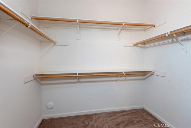 spacious closet with carpet flooring