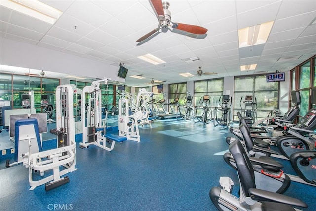 gym featuring a drop ceiling and ceiling fan