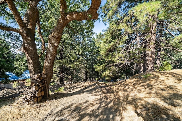 view of local wilderness