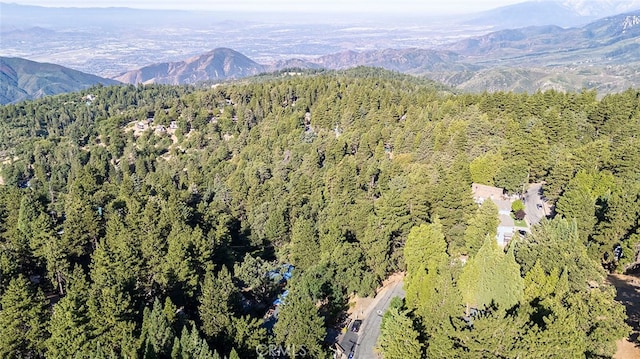 birds eye view of property with a mountain view