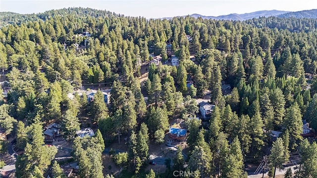 bird's eye view with a mountain view