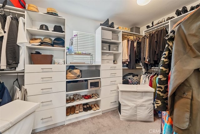 spacious closet featuring light carpet