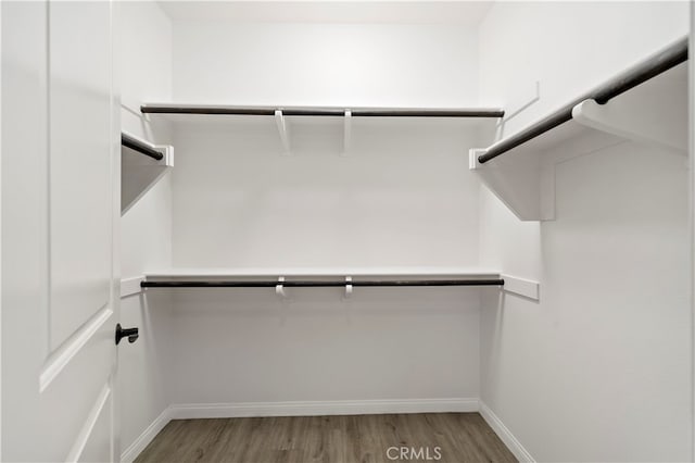 walk in closet featuring wood-type flooring