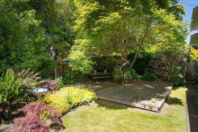 view of yard featuring a deck