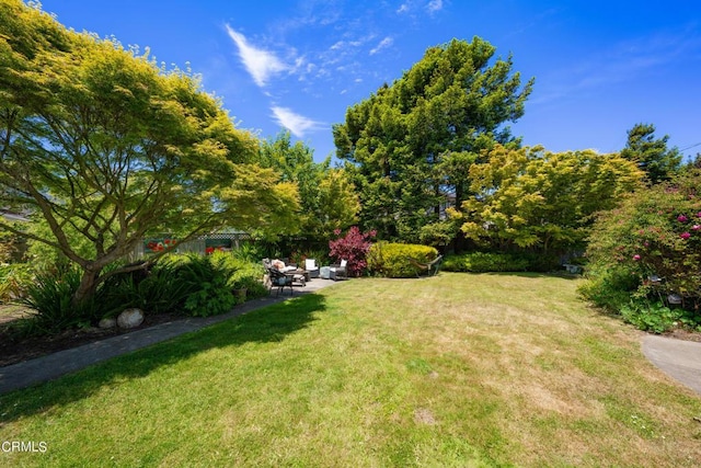 view of yard featuring a patio area