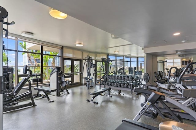 exercise room featuring floor to ceiling windows