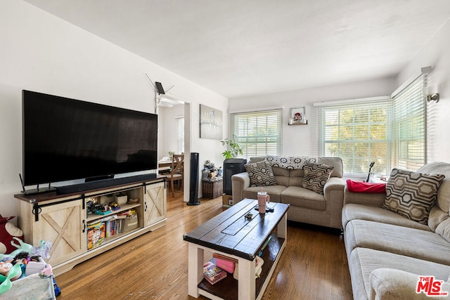 living room featuring hardwood / wood-style flooring