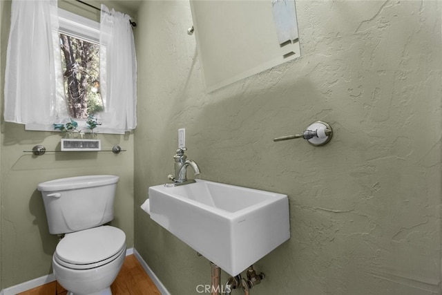 bathroom with sink, hardwood / wood-style floors, and toilet