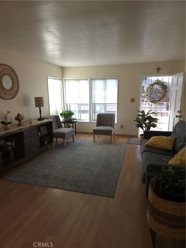 living room featuring light wood-type flooring