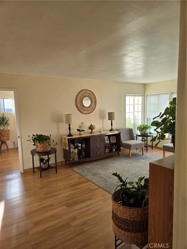 living room featuring wood finished floors