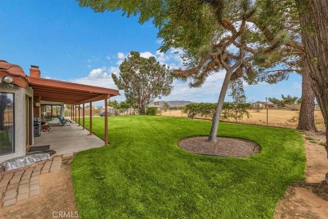 view of yard with a patio