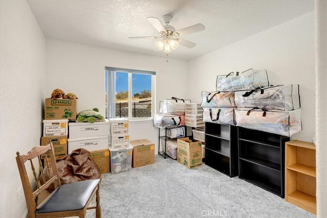 storage room with ceiling fan