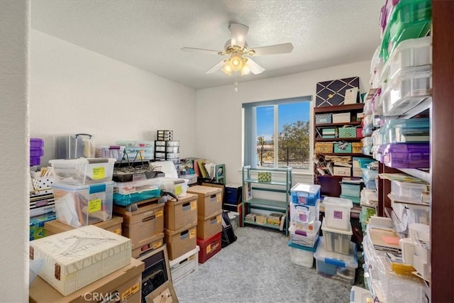 storage room with ceiling fan