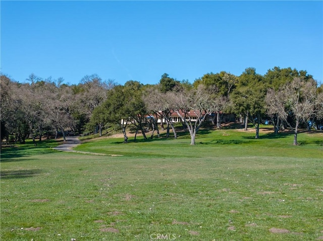 view of home's community featuring a lawn