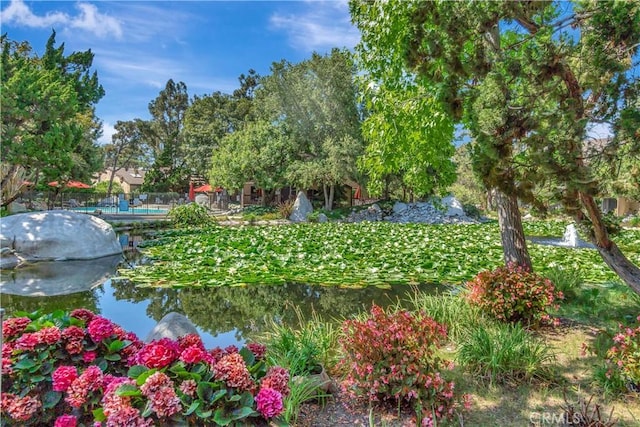 view of property's community with a water view