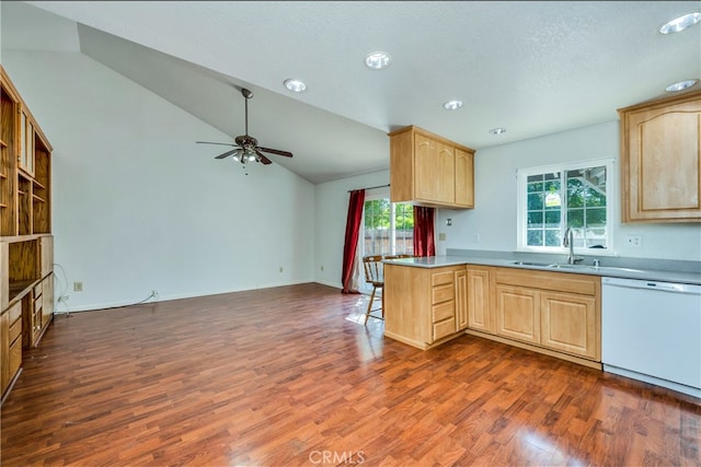 kitchen with light brown cabinets, dishwasher, vaulted ceiling, and a wealth of natural light