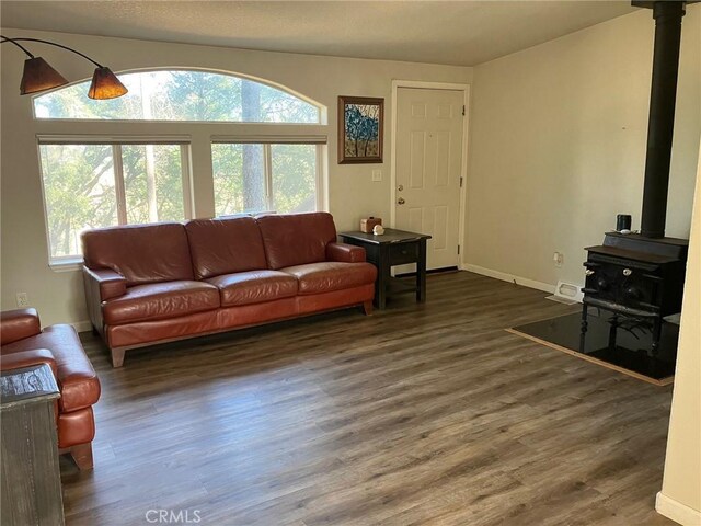 living room featuring a wood stove and dark hardwood / wood-style flooring