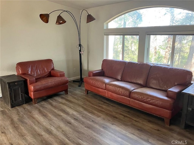 living room featuring hardwood / wood-style floors