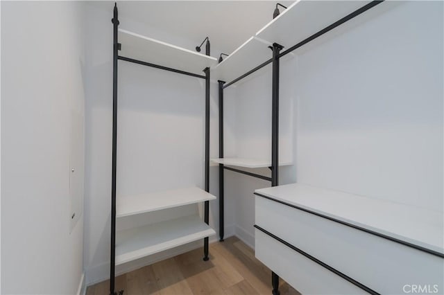 walk in closet featuring light wood-type flooring