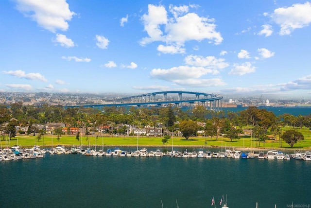 bird's eye view with a water view