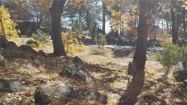 32240 Whisper Dr, Running Springs, CA 92382 - photo 2