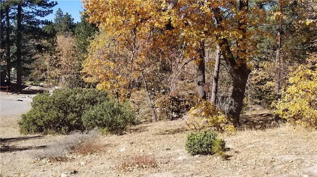 32240 Whisper Dr, Running Springs, CA 92382 - photo 8