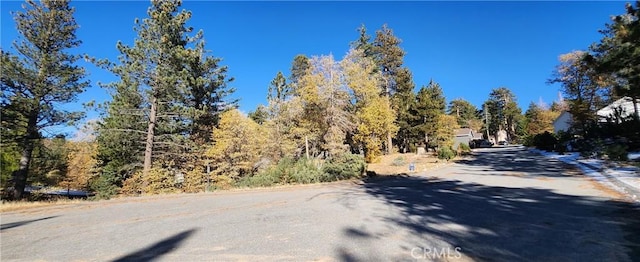 32240 Whisper Dr, Running Springs, CA 92382 - photo 5