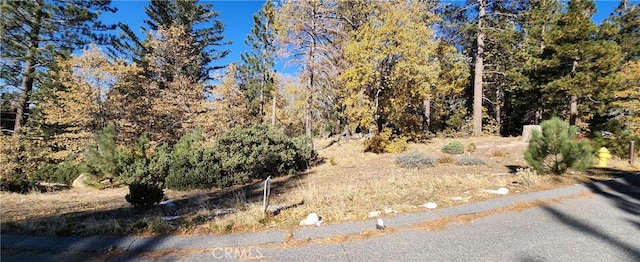 32240 Whisper Dr, Running Springs, CA 92382 - photo 3
