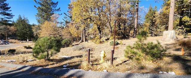 32240 Whisper Dr, Running Springs CA, 92382 land for sale