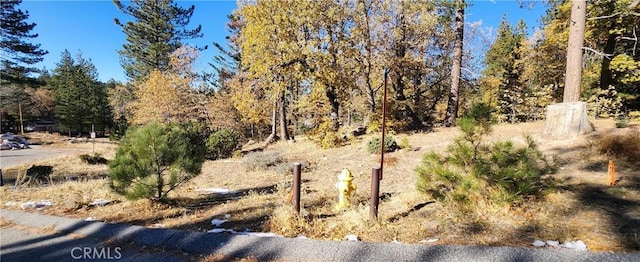 32240 Whisper Dr, Running Springs, CA 92382 - photo 1