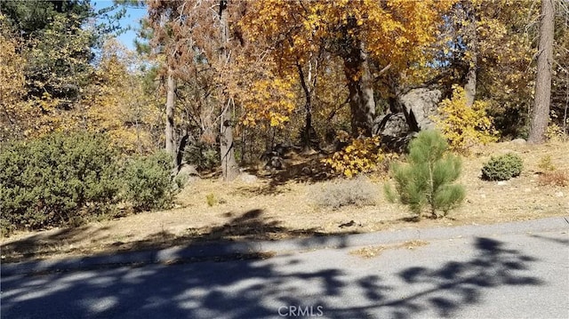 32240 Whisper Dr, Running Springs, CA 92382 - photo 7