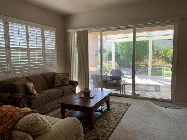 living room featuring carpet