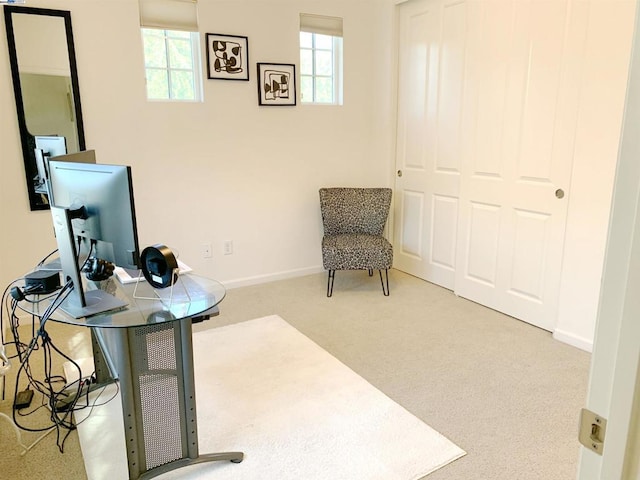 living area featuring light colored carpet