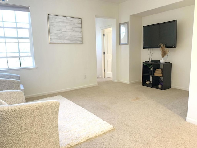 living area with carpet flooring