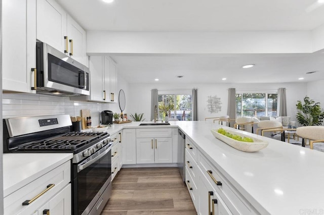 kitchen featuring appliances with stainless steel finishes, a sink, a wealth of natural light, and light wood-style floors