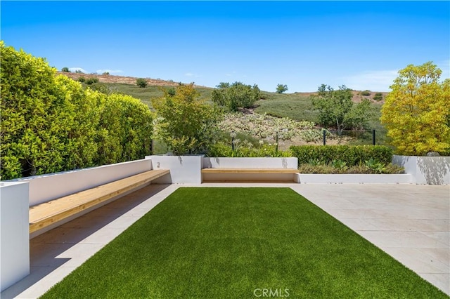 view of yard with a patio area