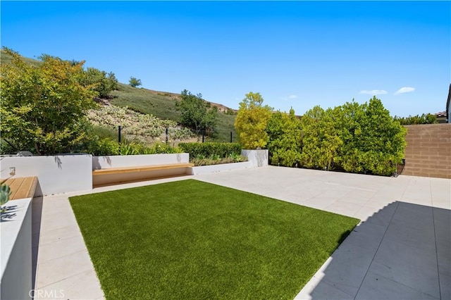 view of yard with a patio