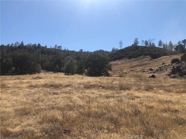 view of local wilderness with a rural view