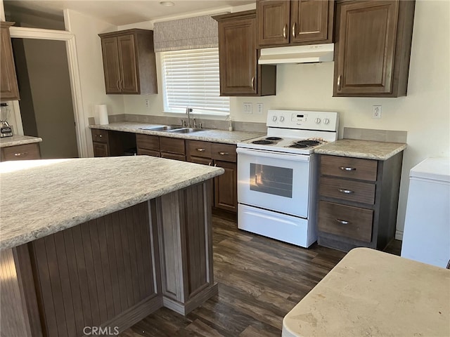 kitchen featuring dark brown cabinets, electric stove, dark wood-type flooring, and sink