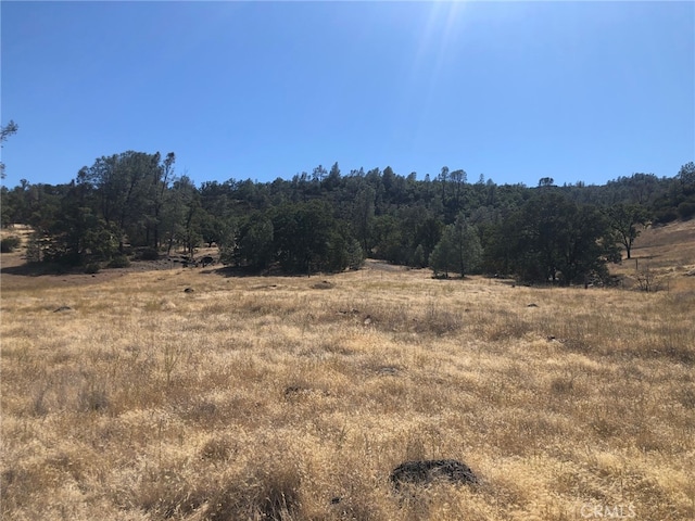 view of nature with a rural view