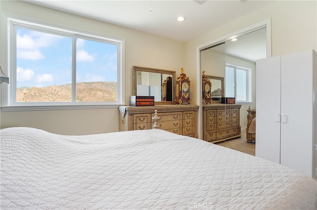 carpeted bedroom featuring a closet and a mountain view