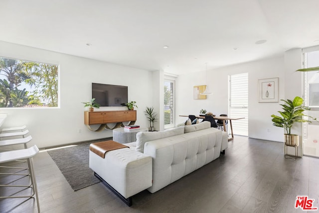 living room with dark hardwood / wood-style floors