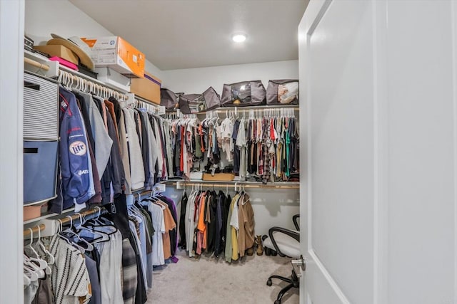 walk in closet featuring carpet floors