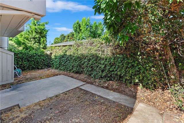 view of yard with a patio