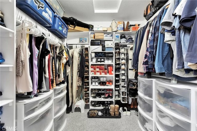 view of walk in closet