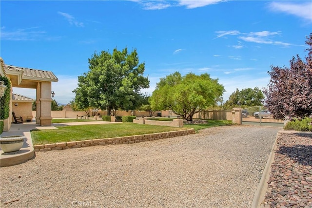 view of property's community with a yard