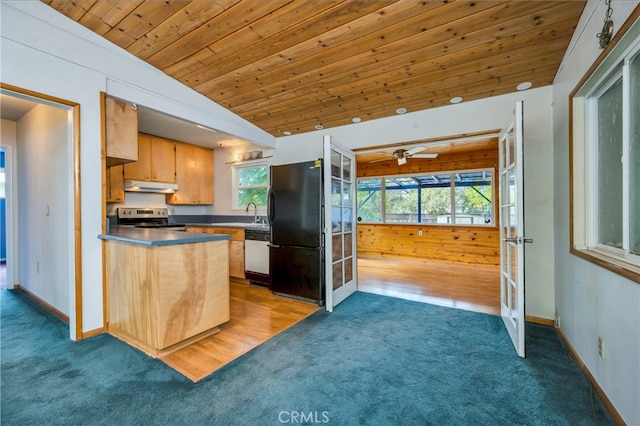 kitchen with plenty of natural light, lofted ceiling, stainless steel electric stove, and black fridge