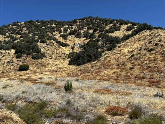 6 Chimney Canyon Rd, Lebec, CA 93243 - photo 9